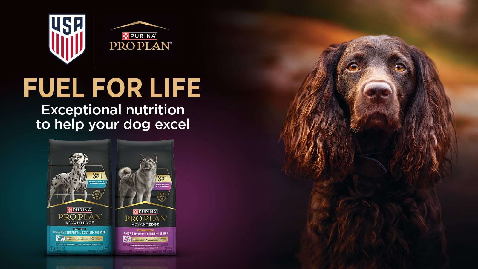 Wag N' Wash Purina Pro Plan High Protein Dog Food, Small Bites, SPORT 27/17  Lamb and Rice Formula Same-Day Delivery | Instacart