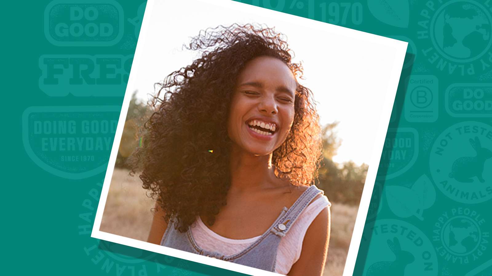 Meijer Toothpicks Pickup Near Me Instacart