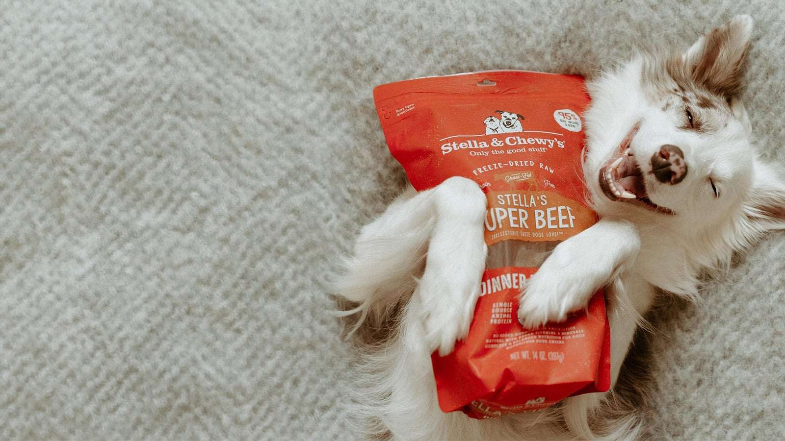 Leo & Lucky's Open Farm Freeze Dried Raw Surf & Turf Dog Food Same